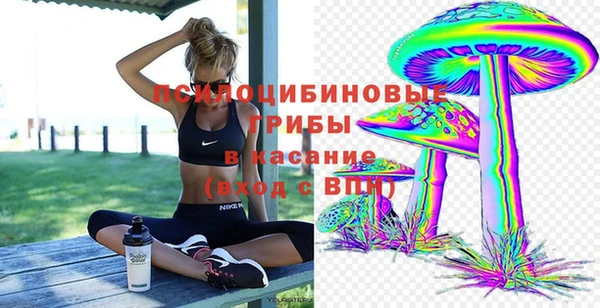 mix Дмитров