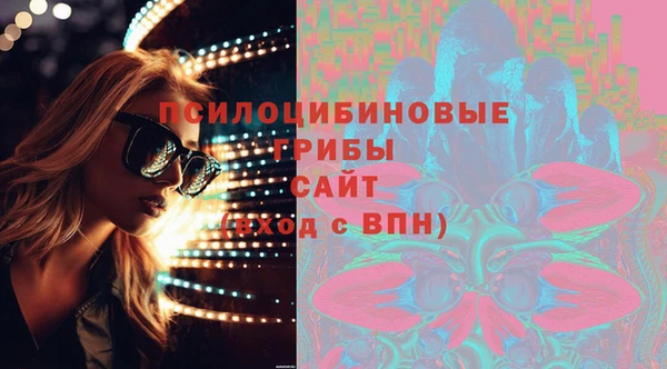 хмурый Дмитровск