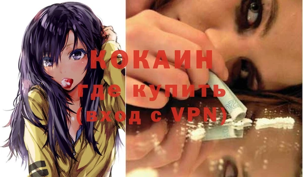 хмурый Дмитровск
