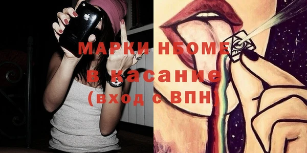 PSILOCYBIN Ельня