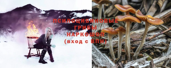 хмурый Дмитровск